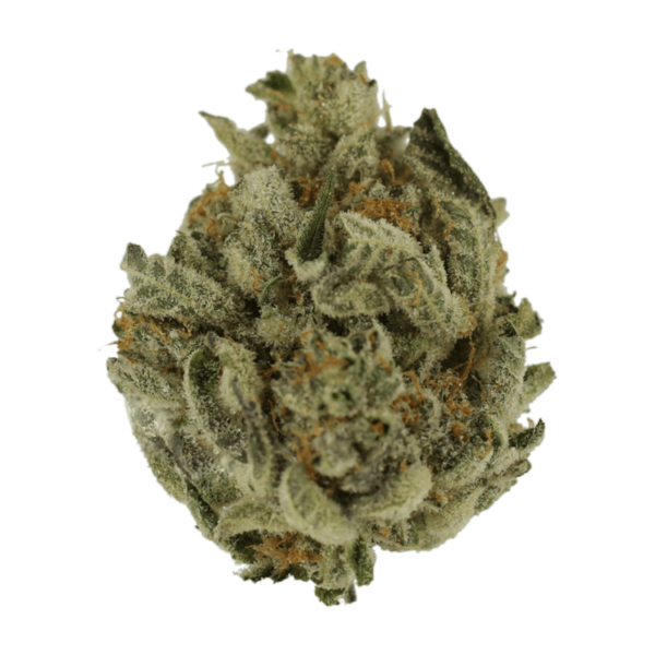 Biscotti Sundae | Weedsy Canada