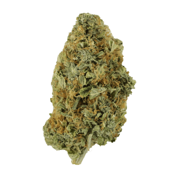 Purple Tuna – 1 ounce | Weedsy Canada