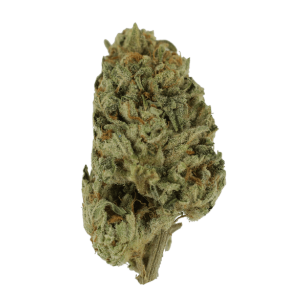 Biscotti Sundae | Weedsy Canada