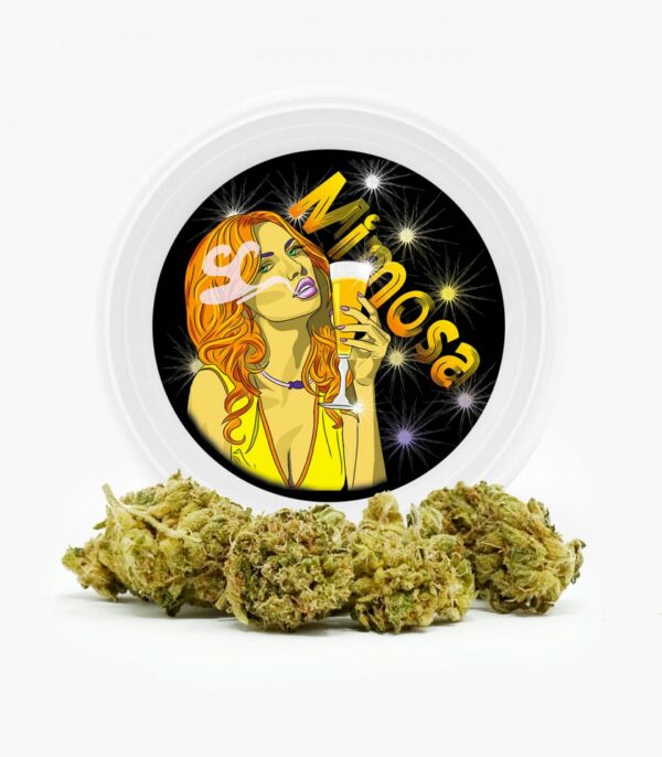 Westcoast Cali Tins – Premium Flower – Mimosa – 3.5g | Weedsy Canada