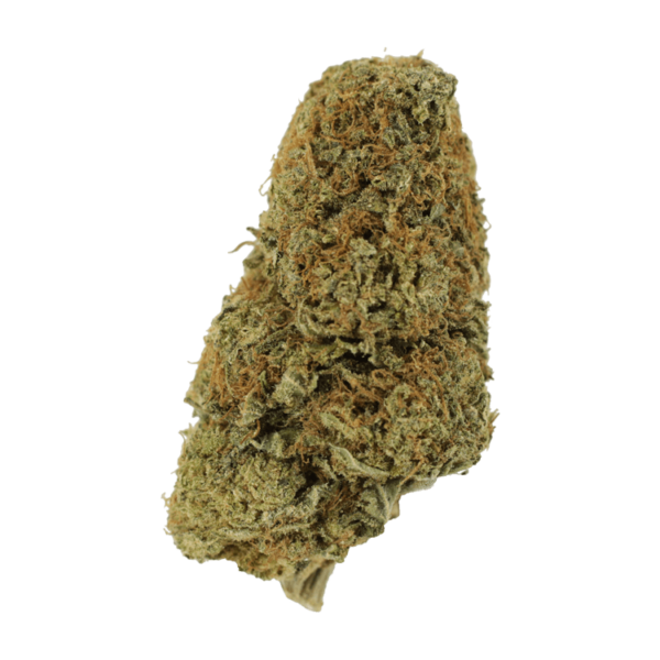 Sugar Pine | Weedsy Canada