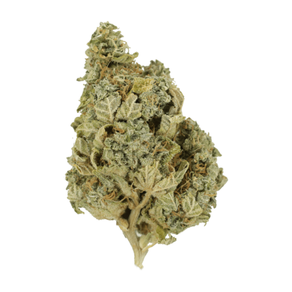 Khalifa Kush | Weedsy Canada