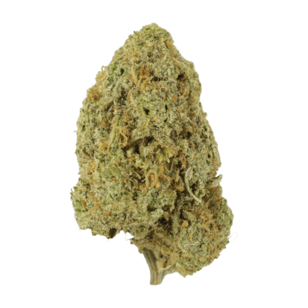 Sugar Pine | Weedsy Canada