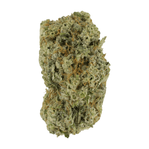 Eleven Roses | Weedsy Canada