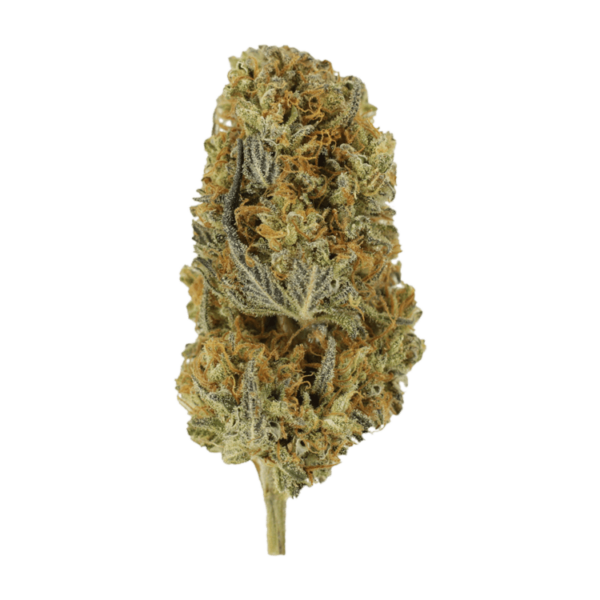 Headband | Weedsy Canada