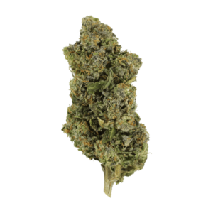 Jokerz | Weedsy Canada
