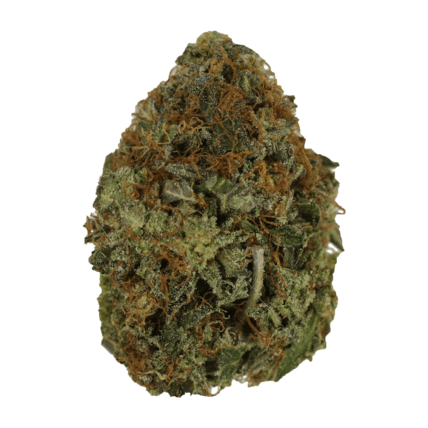 Orange Romulan | Weedsy Canada