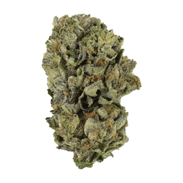 Cerebro Haze | Weedsy Canada