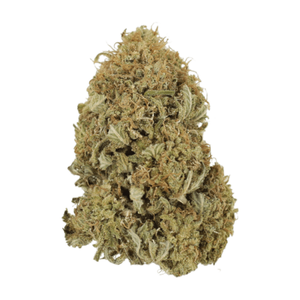 G13 | Weedsy Canada