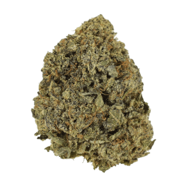 G13 | Weedsy Canada