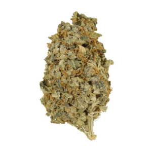 Mint Cookies | Weedsy Canada