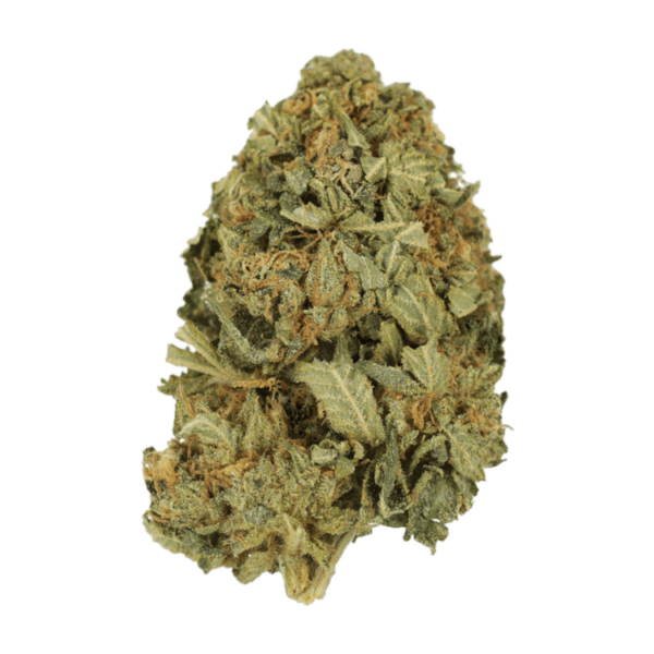 G13 | Weedsy Canada