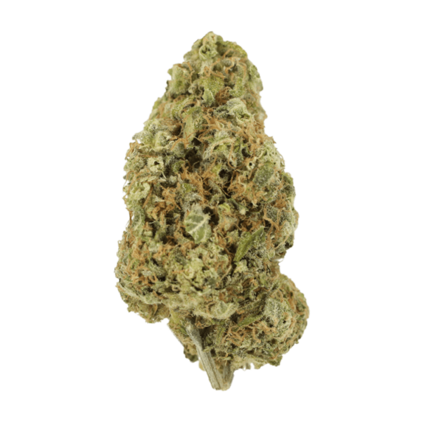 Sour Jack | Weedsy Canada