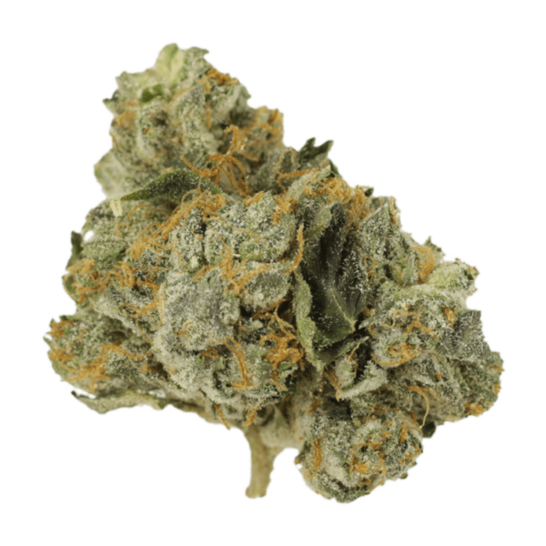 Mango Cream | Weedsy Canada