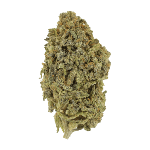 Watermelon Gelato | Weedsy Canada