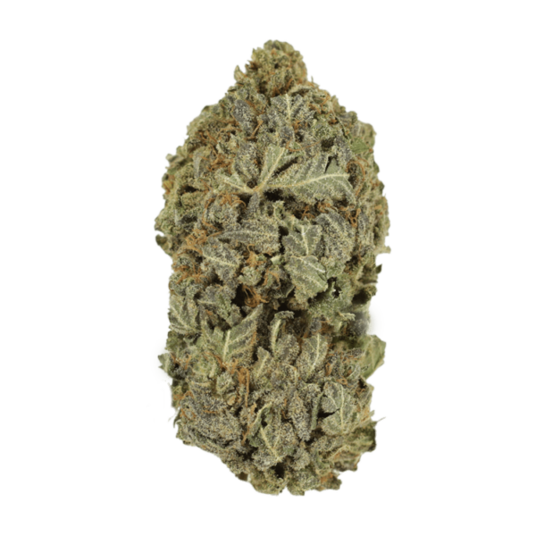 Purple Dream | Weedsy Canada