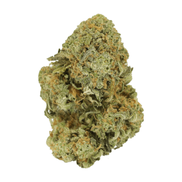 Watermelon Gelato | Weedsy Canada