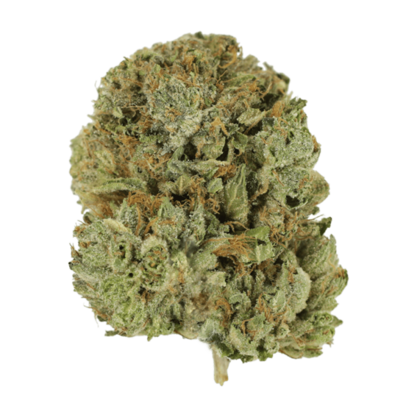 Pink Taco | Weedsy Canada