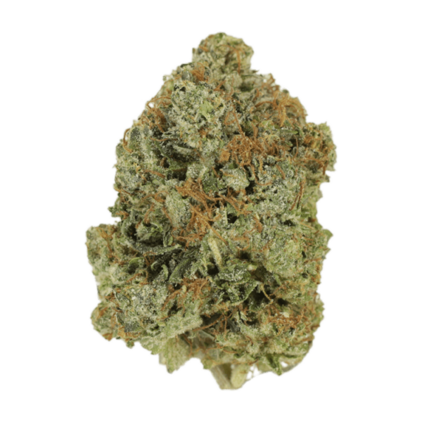 Jack Herer (popcorn) | Weedsy Canada