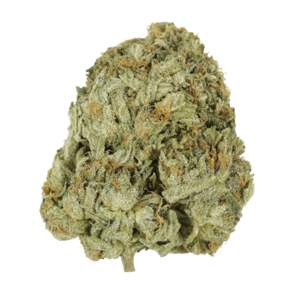 Godzilla Glue | Weedsy Canada