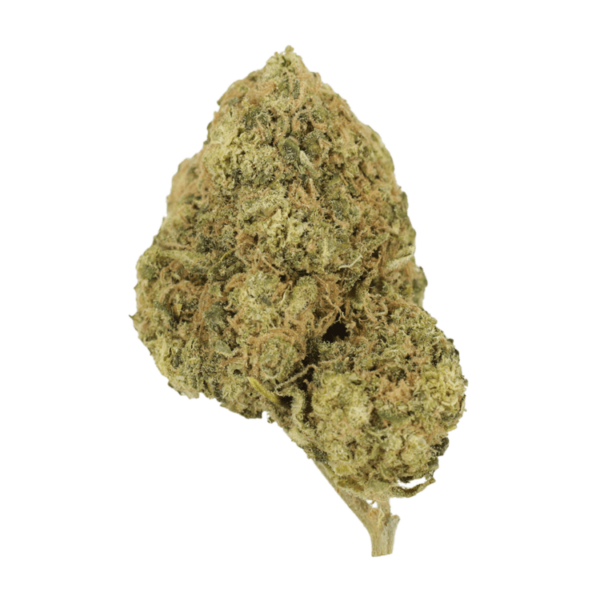 Laughing Buddha | Weedsy Canada