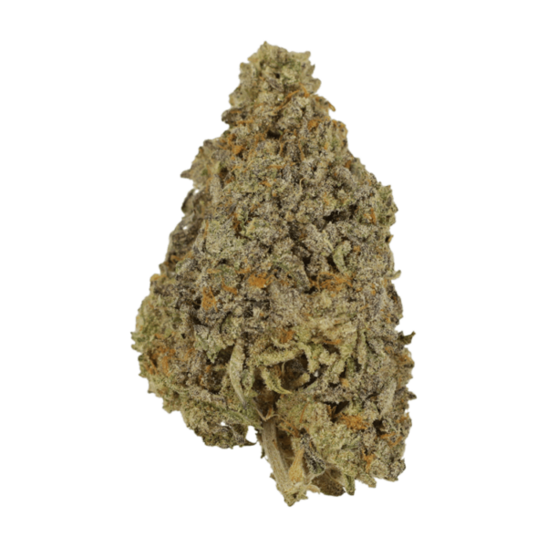 Frosty Gelato | Weedsy Canada