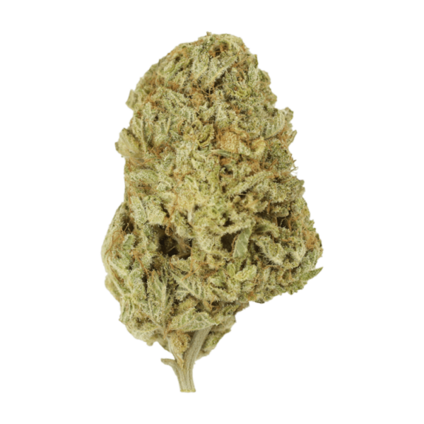 Face Mints | Weedsy Canada