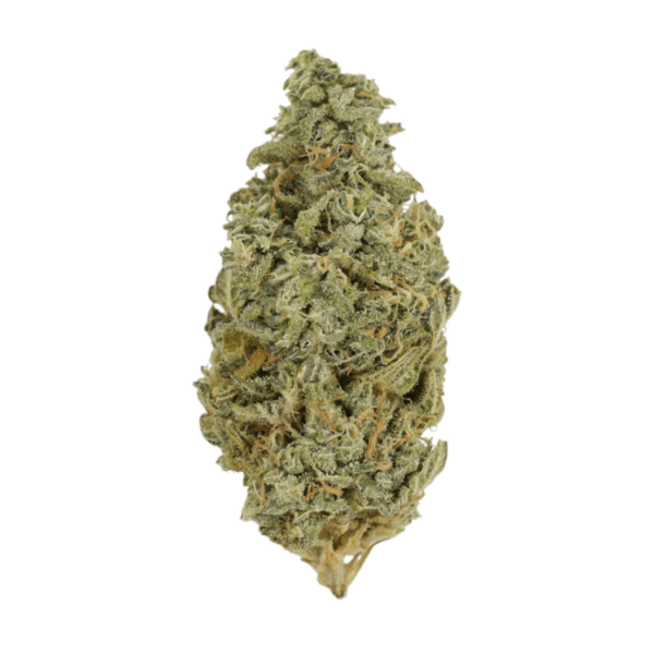 Orange Cookies | Weedsy Canada