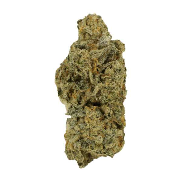 Cinderella 99 | Weedsy Canada