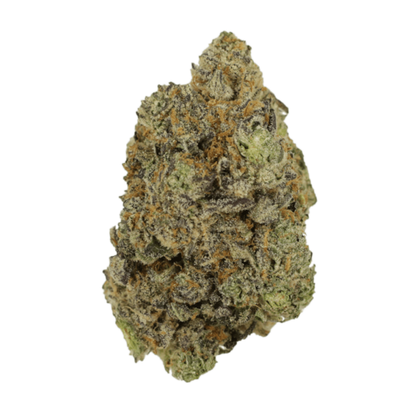 Hash Plant | Weedsy Canada