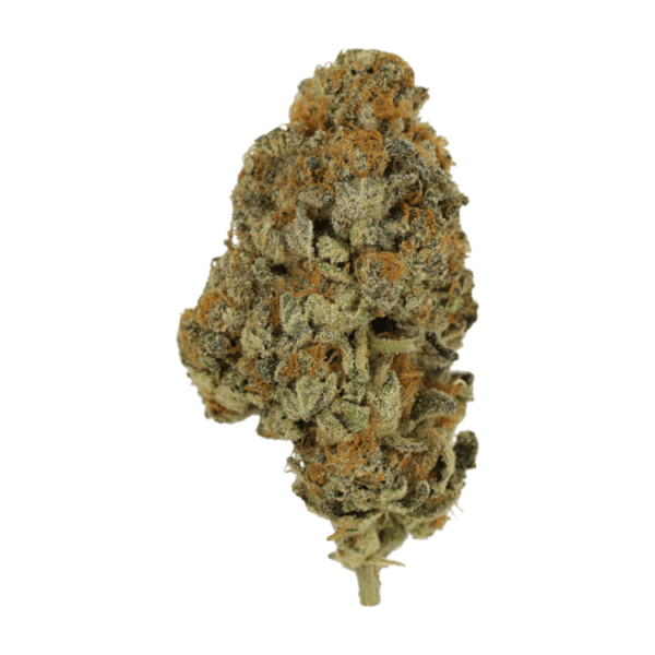 Key Lime Pie | Weedsy Canada