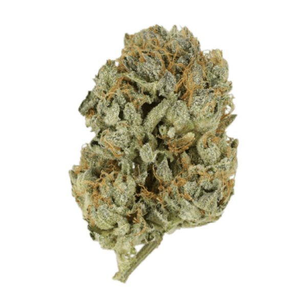 Kashmir Kush | Weedsy Canada