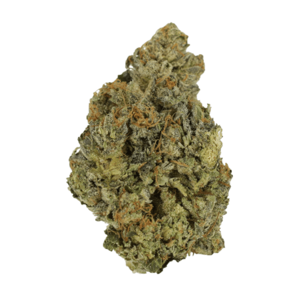 Lady Bird | Weedsy Canada