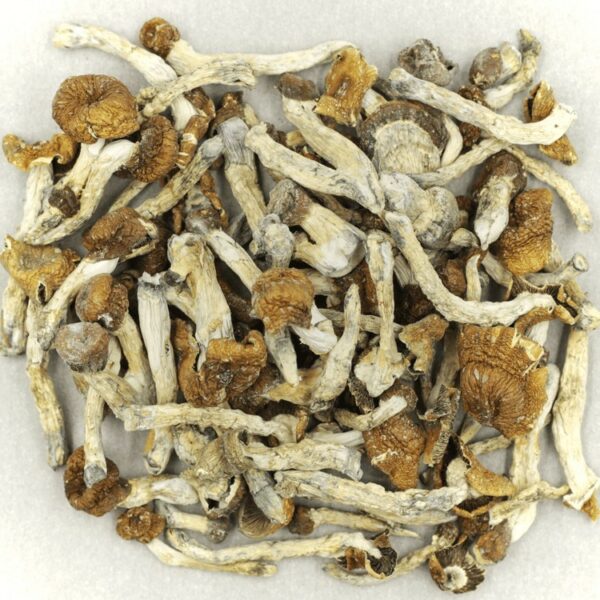 Florida White | Weedsy Canada