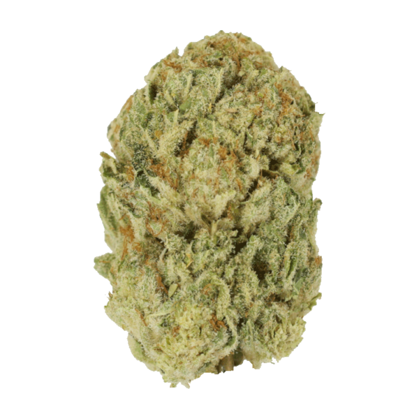 Trap Star | Weedsy Canada