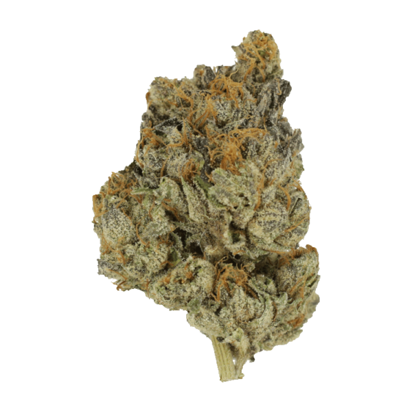 Divorce Cake | Weedsy Canada