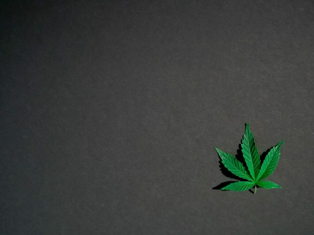 Hybrid - weed | Weedsy Canada