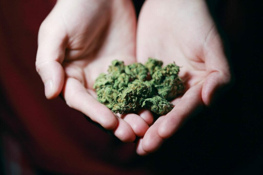Best dispensary in canada | Weedsy Canada