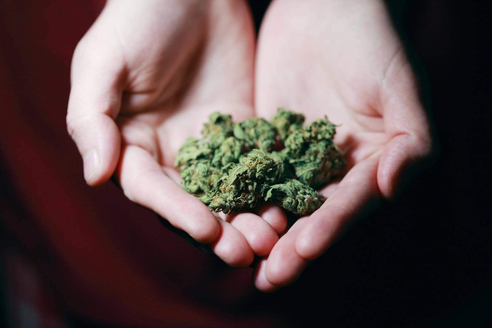 Best dispensary in canada | Weedsy Canada