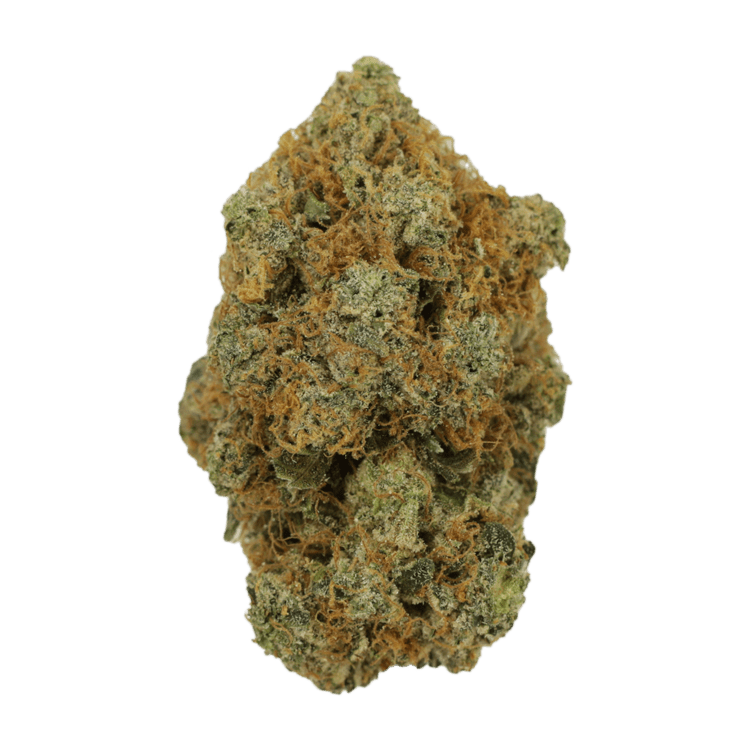 Gouda Berry | Weedsy Canada Gouda Berry | Weedsy Canada