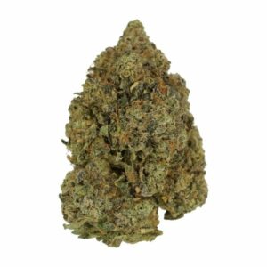 Love Affair | Weedsy Canada