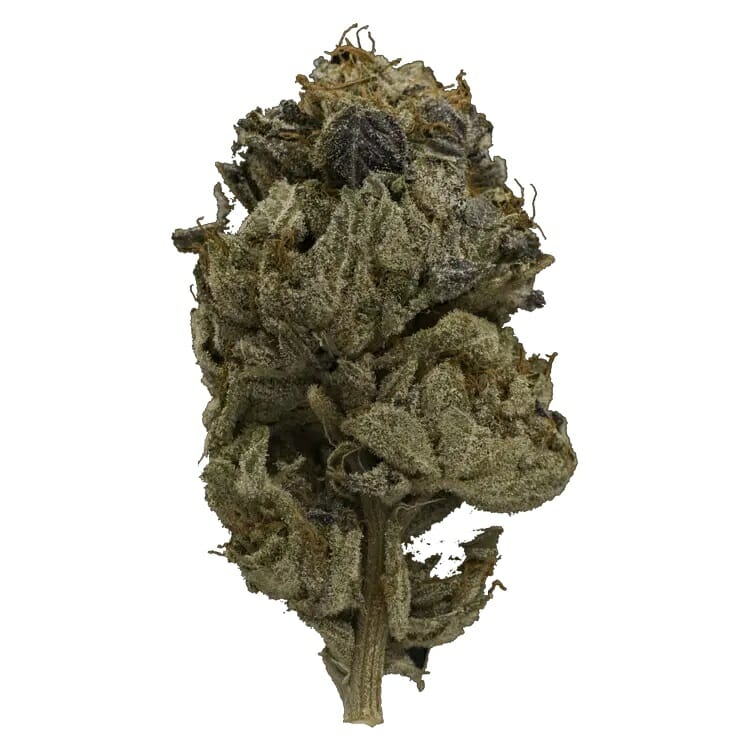 Enjoy the Heavy Indica Effects of Pink Gas Mask Strain | Weedsy Canada | Weedsy Canada