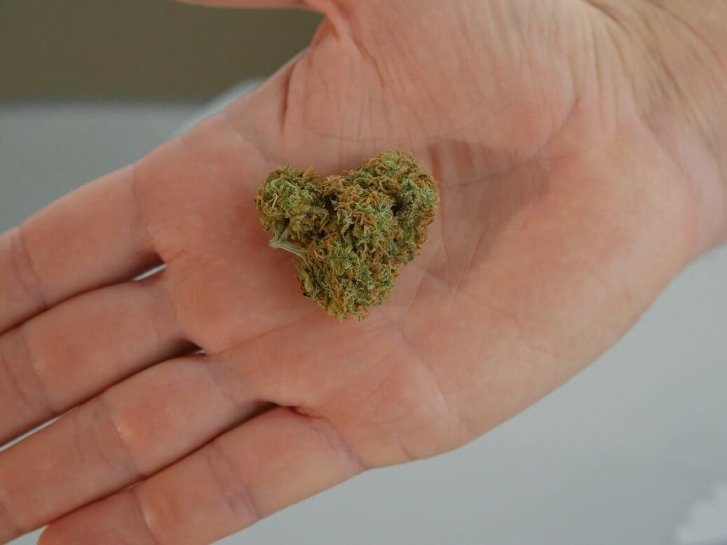 cannabis marijuana Canada | Weedsy Canada