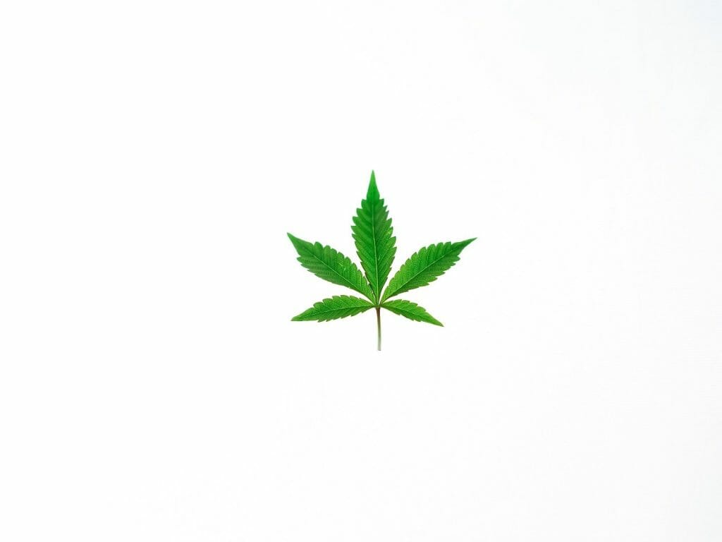 Benefits of Shopping in a BC cannabis Online Dispensary | Weedsy Canada
