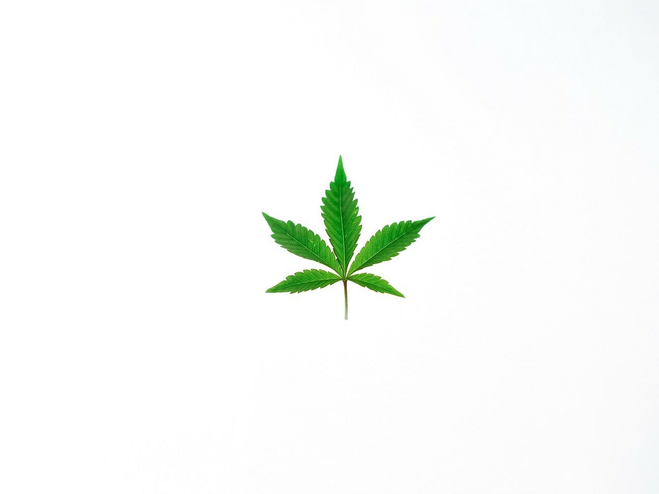 Benefits of Shopping in a BC cannabis Online Dispensary | Weedsy Canada