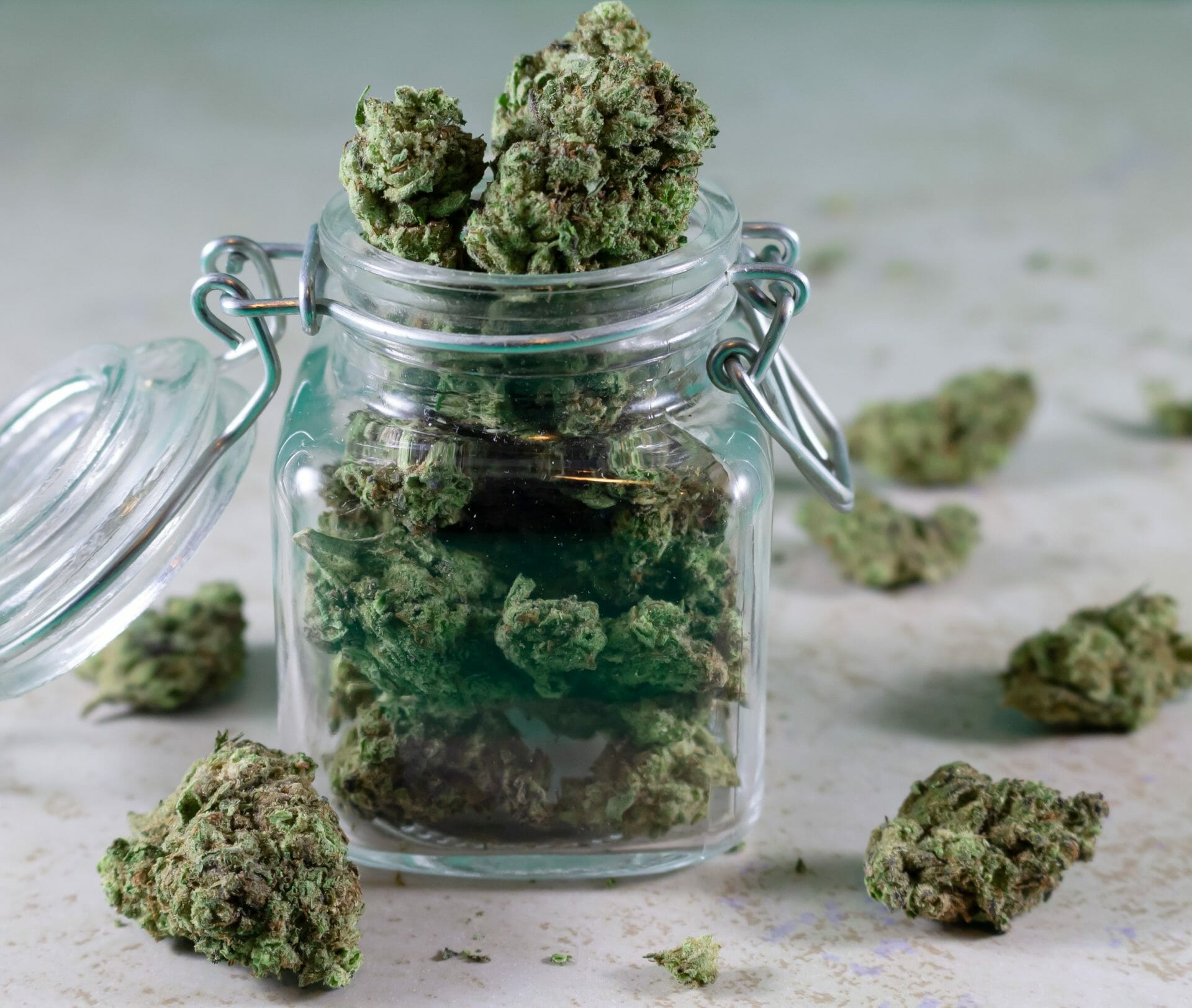 | Weedsy Canada Grasslife - cannabis Dispensaries | Weedsy Canada