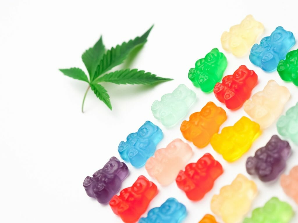 Edible Delights: A Guide to the Most Delicious cannabis in Edmonton | Weedsy Canada | Weedsy Canada