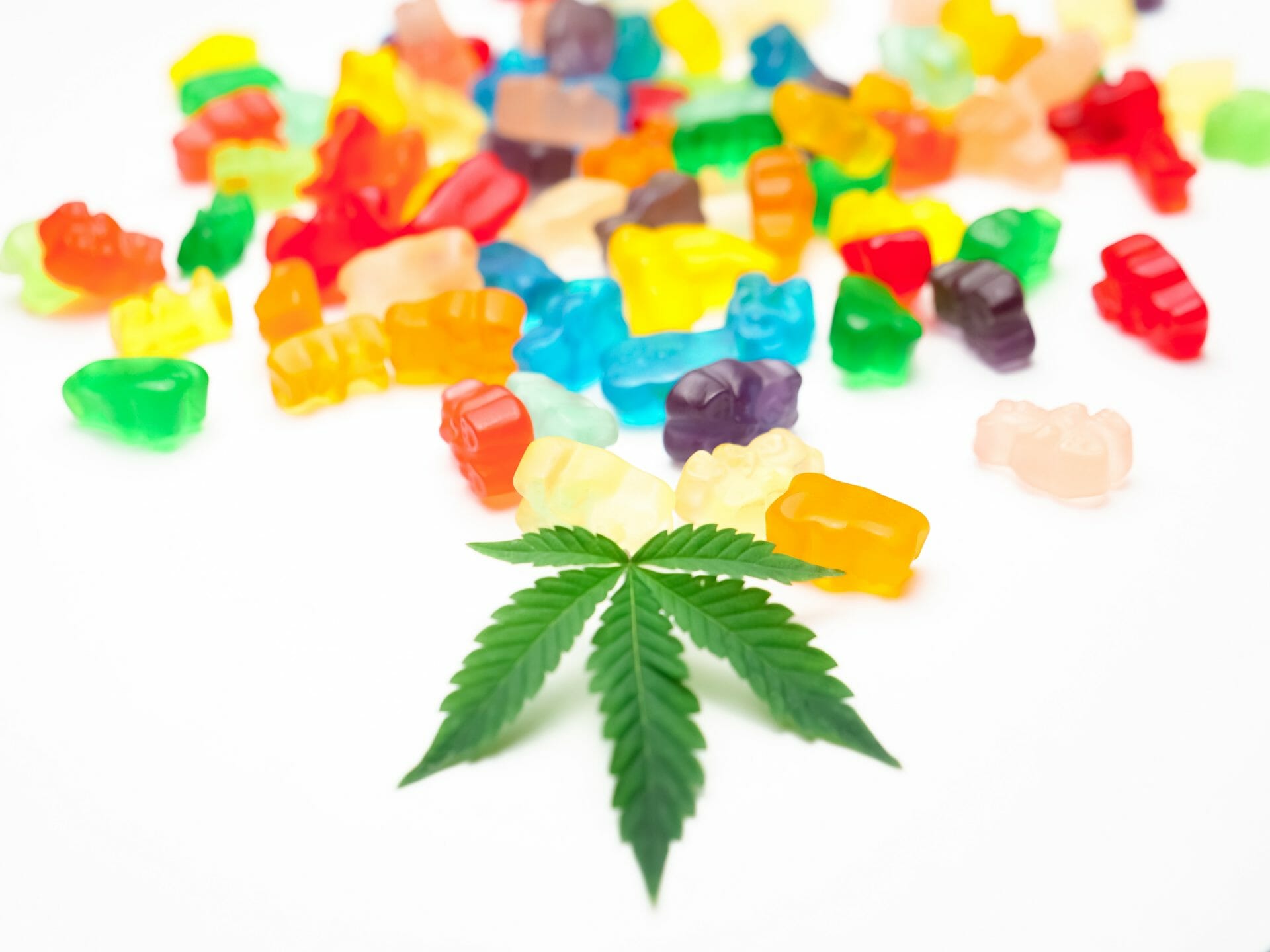 Weed Gummy | Weedsy Canada