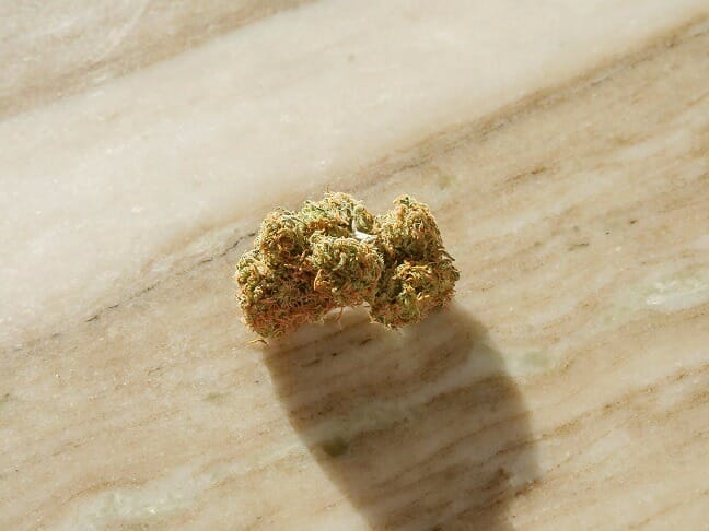 Grasslife cannabis Strains in Canada | Weedsy Canada