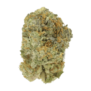 Slurricane | Weedsy Canada